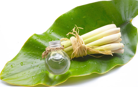 LEMONGRASS OIL