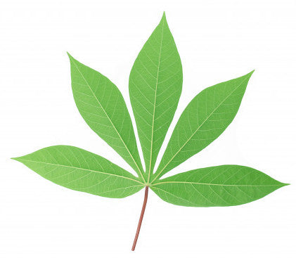 CASSAVA LEAF - FROZEN