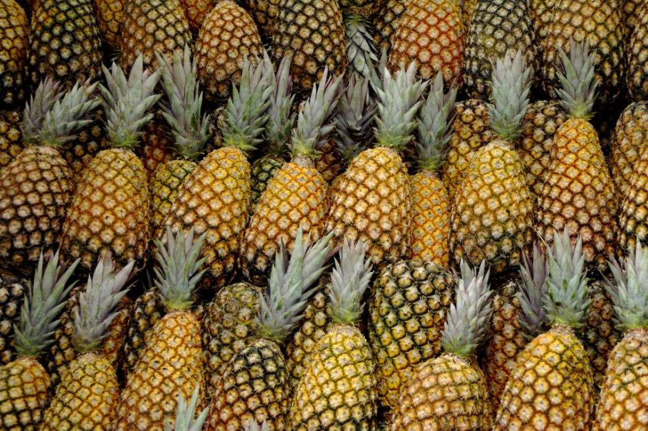 Vietnam diversifies fruit export markets